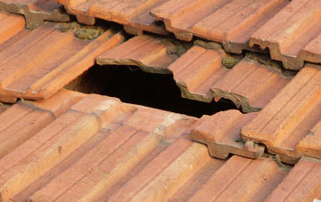 roof repair Glyn
